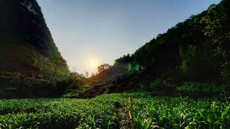 守护美好生活,践行精准扶贫,科顺股份走进广西坡那村