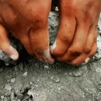 永利澳门手机网站