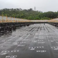 永利澳门手机网站