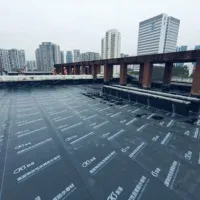 永利澳门手机网站