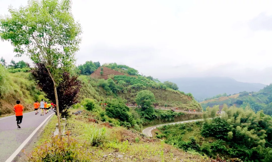 图片16.png 图片16.png