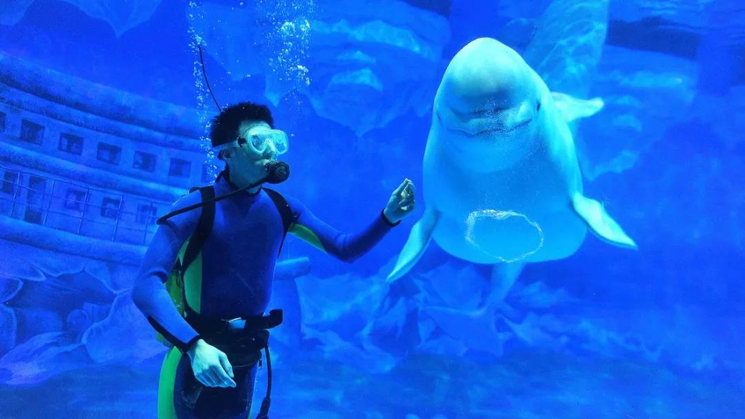 微信图片_20190603141840.jpg 微信图片_20190603141840.jpg