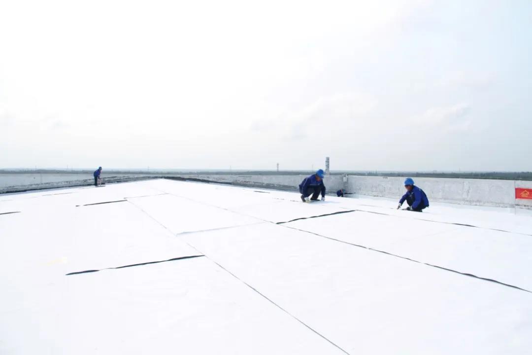 微信图片_20200318174439.jpg 微信图片_20200318174439.jpg