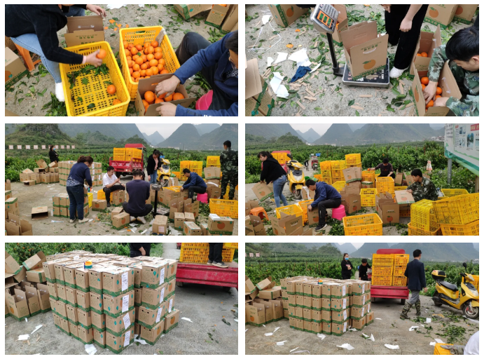 TIM截图20200411205239.png TIM截图20200411205239.png