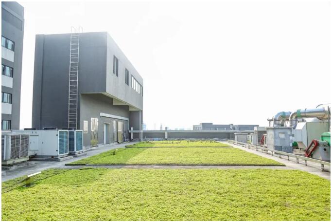 英国365上市官网生态种植屋面大面.jpg 英国365上市官网生态种植屋面大面.jpg