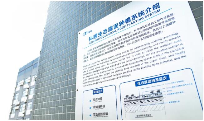 位于顶楼的英国365上市官网生态屋面种植系统介绍.jpg 位于顶楼的英国365上市官网生态屋面种植系统介绍.jpg