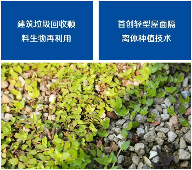 TIM截图20200421112855.jpg TIM截图20200421112855.jpg