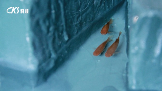 640(2).jpg 640(2).jpg