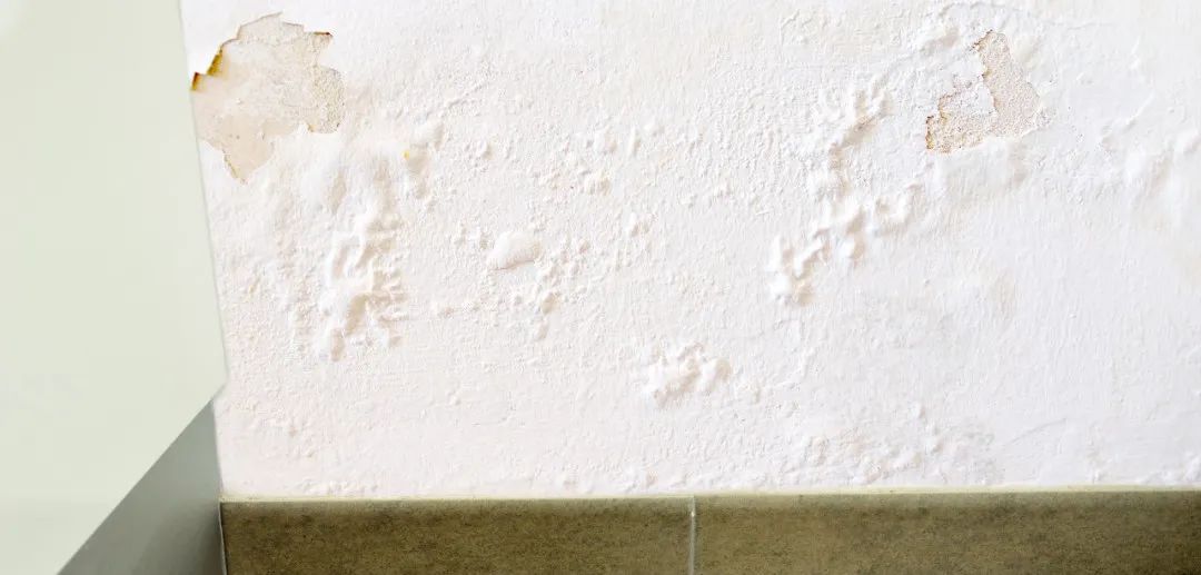 640 (2).jpg 640 (2).jpg