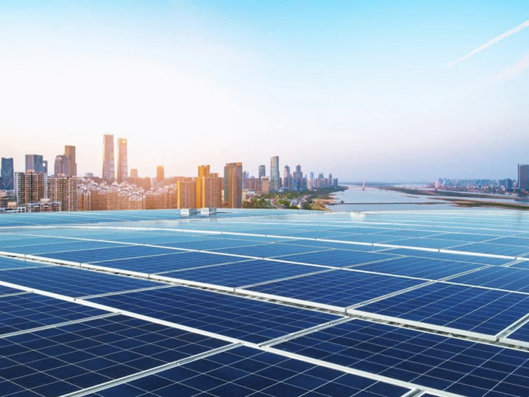 微信图片_20220725211237.gif 微信图片_20220725211237.gif